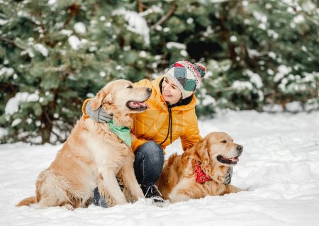 Téléchargez les photos : Golden retriever chiens en hiver avec fille propriétaire posant dans la neige. Jeune femme regardant caméra avec chien animaux de compagnie en forêt par temps froid - en image libre de droit