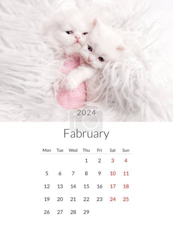 Téléchargez les photos : Février 2024 Calendrier photo avec des chats mignons. Modèle de planificateur quotidien annuel avec des animaux chats félins. La semaine commence le lundi - en image libre de droit