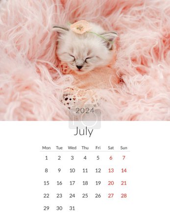Photo for July 2024 Photo calendar with cute cats. Annual daily planner template with feline kitty animals. The week starts on Monday - Royalty Free Image
