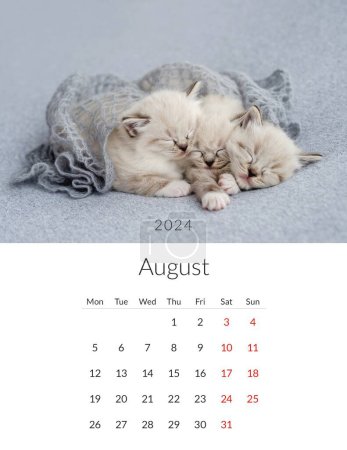 Téléchargez les photos : Août 2024 Calendrier photo avec des chats mignons. Modèle de planificateur quotidien annuel avec des animaux chats félins. La semaine commence le lundi - en image libre de droit