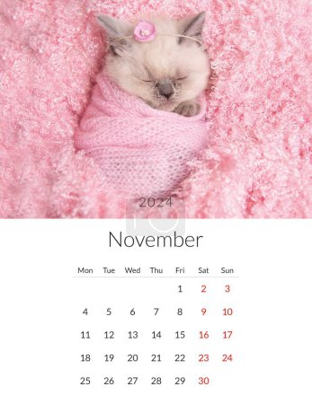 Téléchargez les photos : Novembre 2024 Calendrier photo avec des chats mignons. Modèle de planificateur quotidien annuel avec des animaux chats félins. La semaine commence le lundi - en image libre de droit