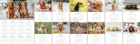 Téléchargez les photos : 2024 année Calendrier photo avec des chiens mignons. Modèle de planificateur quotidien annuel avec chiens. La semaine commence le lundi - en image libre de droit