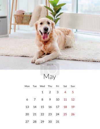 Téléchargez les photos : Mai 2024 année Calendrier photo avec des chiens mignons. Modèle de planificateur quotidien annuel avec chiens. La semaine commence le lundi - en image libre de droit