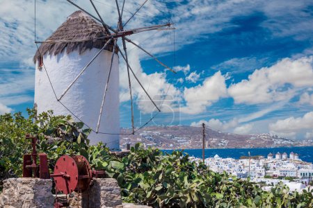 Foto de Antiguo molino de viento griego típico encalado en la colina con arbustos de cactus en primer plano - Imagen libre de derechos