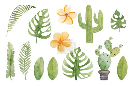 Téléchargez les photos : Feuilles tropicales d'été avec composition de fleurs de cactus et plumeria aquarelle pour carte postale. Plantes botaniques exotiques illustration eco natute - en image libre de droit