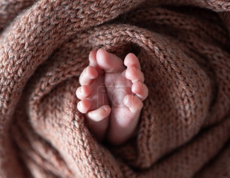 Téléchargez les photos : Tendre nouveau-né pieds emmaillotés en couverture portrait rapproché. Joli bébé enfant jambes enfant en tissu chaud - en image libre de droit