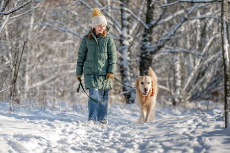 Téléchargez les photos : Fille promenades avec Golden Retriever dans la forêt d'hiver, Promenade avec chien à travers les bois enneigés - en image libre de droit