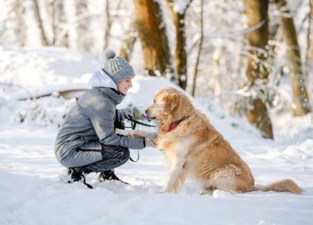 Téléchargez les photos : Adolescente avec Golden Retriever donne patte dans la forêt enneigée, assis avec chien - en image libre de droit