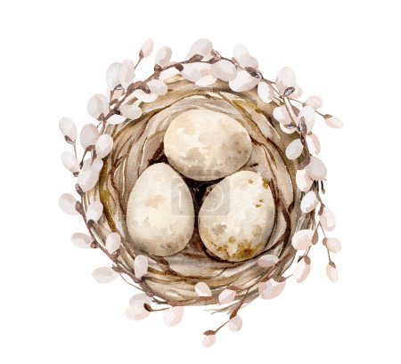 Téléchargez les photos : Aquarelle de Pâques avec œufs traditionnels dans le nid sur fond blanc. Festive printemps religion aquarelle dessin carte postale avec design à la mode - en image libre de droit