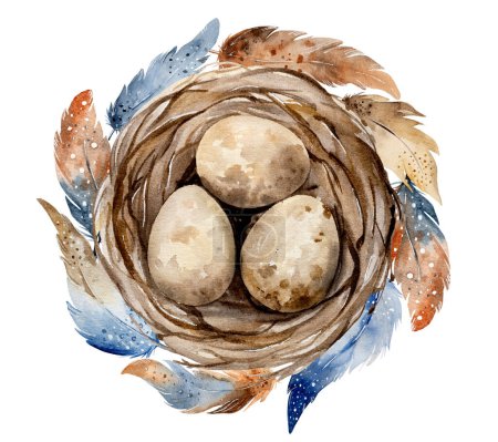 Foto de Hand-Painted Watercolor Depicts Nest With Eggs And Beautiful Feathers - Imagen libre de derechos