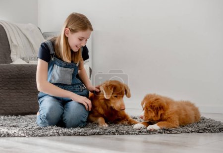 Foto de Niña de 11 años juega con Nova Scotia Retriever y su cachorro en casa en el suelo, Nova Scotia Retriever Toller - Imagen libre de derechos