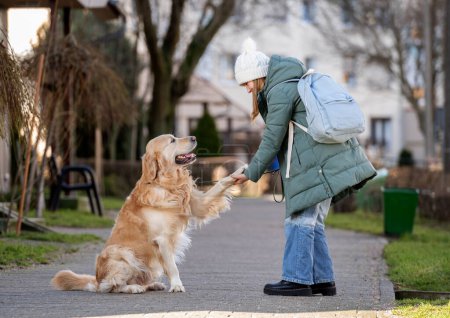 Téléchargez les photos : Golden Retriever donne patte à sa jeune fille propriétaire pendant la promenade d'hiver avec chien - en image libre de droit