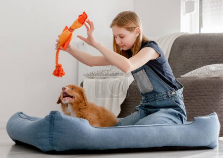 Foto de Niña juega con Toller cachorro usando naranja pato juguete en cama de perro, un pato de Nueva Escocia peaje Retriever - Imagen libre de derechos