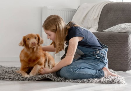 Photo for 11-Year-Old Girl Plays With Nova Scotia Retriever Toller At Home On The Floor - Royalty Free Image