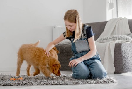 Foto de Chica juega con cachorros Nova Scotia Retriever en casa en el piso, Nova Scotia Retriever Toller - Imagen libre de derechos