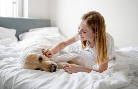Téléchargez les photos : Fille joue avec Golden Retriever au lit, le couvrant avec une couverture dans une pièce lumineuse le matin - en image libre de droit
