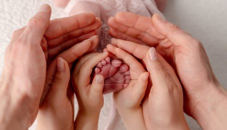 Photo for Mom, Dad, And Older SisterS Hands Hold NewbornS Feet In An Artistic Photo - Royalty Free Image