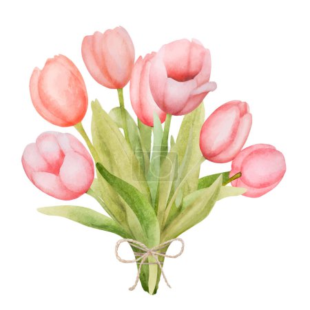 Illustration for Beautiful pink tulip flowers bouquet watercolor paiting. Spring blossom garden plant aquarelle drawing - Royalty Free Image