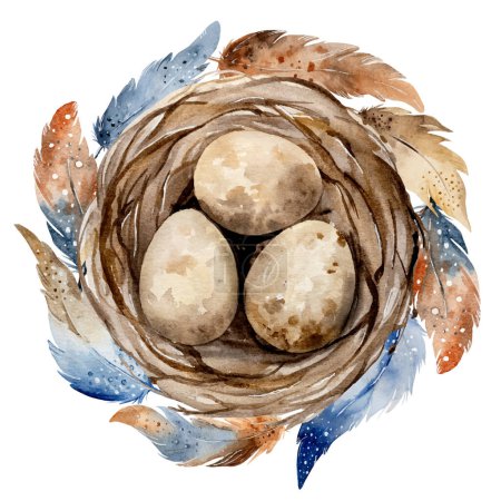 Illustration for Hand-Painted Watercolor Depicts Nest With Eggs And Beautiful Feathers - Royalty Free Image