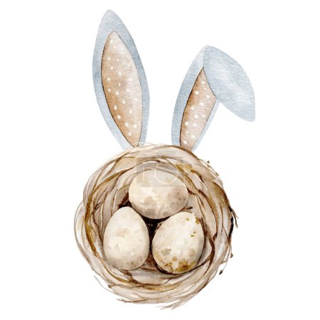 Téléchargez les illustrations : L'image aquarelle peinte à la main montre des oreilles de lapin de Pâques regardant d'un nid avec des œufs - en licence libre de droit