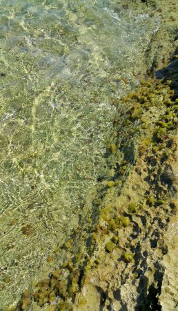 Téléchargez les photos : Eau de mer claire près de la côte de Majorque, fond naturel - en image libre de droit