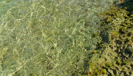 Téléchargez les photos : Eau de mer claire près de la côte de Majorque, fond naturel - en image libre de droit