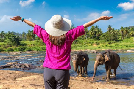Téléchargez les photos : Femme touriste regardant troupeau d'éléphants au Sri Lanka - en image libre de droit