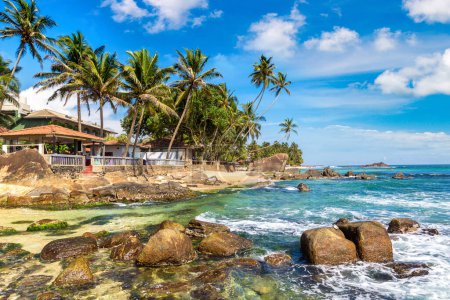 Téléchargez les photos : Rocher et palmier à Dalawella Beach par une journée ensoleillée au Sri Lanka - en image libre de droit