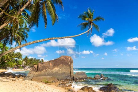 Felsen und Palmen am Dalawella Beach an einem sonnigen Tag in Sri Lanka