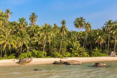 Téléchargez les photos : Belle plage tropicale par une journée ensoleillée - en image libre de droit