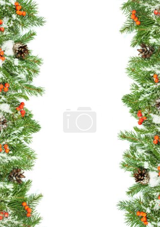 Téléchargez les photos : Fond de Noël avec neige, cônes et baie de houx isolé sur blanc - en image libre de droit