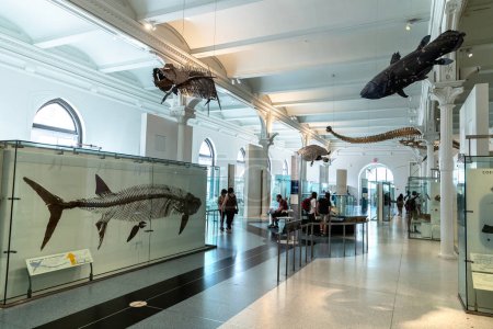 Foto de NUEVA YORK CITY, Estados Unidos - 29 de marzo de 2020: Interior of American Museum of Natural History in New York City, NY, Estados Unidos - Imagen libre de derechos