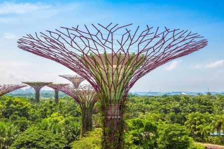 Téléchargez les photos : SINGAPOUR - 23 JUIN 2019 : Supertree Grove at Gardens by the Bay à Singapour près de l'hôtel Marina Bay Sands le jour d'été - en image libre de droit