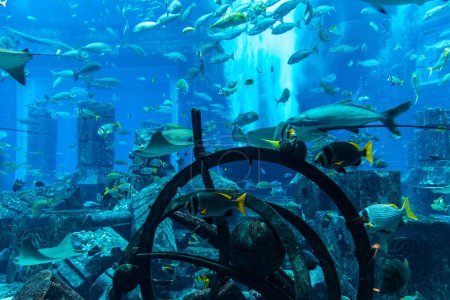 Téléchargez les photos : DUBAI, EAU - 5 AVRIL 2020 : Chambres perdues - Grand aquarium de l'hôtel Atlantis à Dubaï, Émirats arabes unis - en image libre de droit