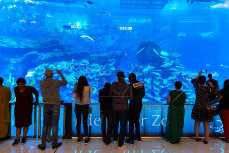 Foto de DUBAI, Emiratos Árabes Unidos - 5 de abril de 2019: Enorme acuario en Dubai Mall - el centro comercial más grande del mundo en Dubai, Emiratos Árabes Unidos - Imagen libre de derechos