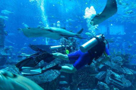 Téléchargez les photos : DUBAI, EAU - 5 AVRIL 2020 : Plongeur dans les chambres perdues - Grand aquarium à l'hôtel Atlantis à Dubaï, Émirats arabes unis - en image libre de droit