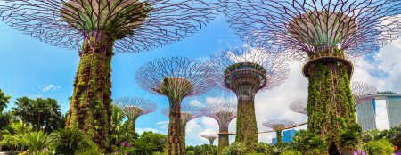 Téléchargez les photos : SINGAPOUR - 23 JUIN 2019 : Panorama de Skyway à Gardens by the Bay à Singapour - en image libre de droit