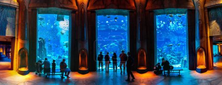 Téléchargez les photos : DUBAI, Émirats arabes unis - 26 JUIN 2018 : Panorama des chambres perdues - Grand aquarium de l'hôtel Atlantis à Dubaï, Émirats arabes unis - en image libre de droit