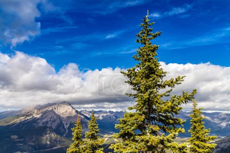 Photo for Panoramic aerial view of  Bow Valley in Banff national park, Canadian Rockies - Royalty Free Image