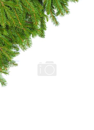 Photo for Christmas green framework isolated on white background - Royalty Free Image