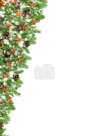 Foto de Fondo de Navidad con nieve, conos y baya de acebo aislado en blanco - Imagen libre de derechos