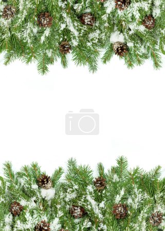 Téléchargez les photos : Fond de Noël avec neige, et cônes isolés sur blanc - en image libre de droit