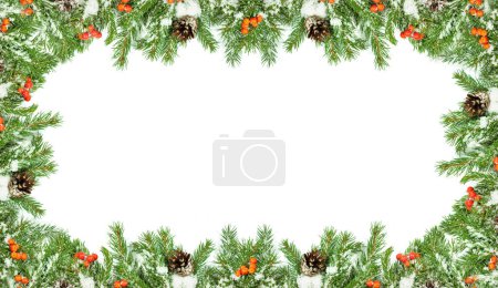 Photo for Christmas background with snow, cones and holly berry isolated on white - Royalty Free Image
