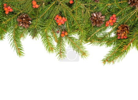 Téléchargez les photos : Cadre vert Noël avec cônes et baie de houx isolé sur fond blanc - en image libre de droit