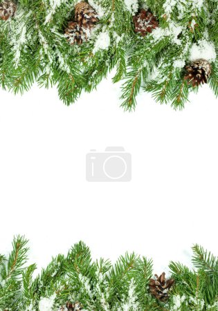 Foto de Fondo de Navidad con nieve, y conos aislados en blanco - Imagen libre de derechos