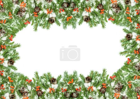 Téléchargez les photos : Fond de Noël avec neige, cônes et baie de houx isolé sur blanc - en image libre de droit