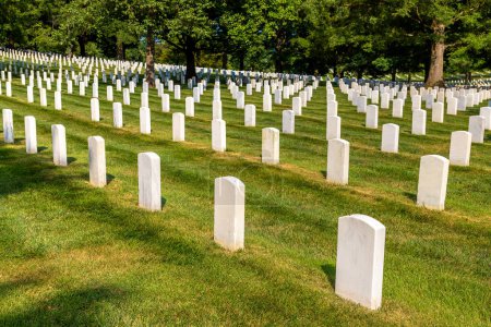 Photo for Arlington National Cemetery in Washington DC, USA - Royalty Free Image