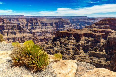 Foto de Grand Canyon West Rim en un día soleado, Estados Unidos - Imagen libre de derechos