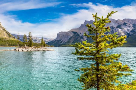 Téléchargez les photos : Petite île sur le lac Minnewanka dans le parc national Banff, Canada - en image libre de droit