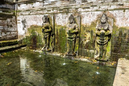 Téléchargez les photos : Étang sacré à Pura Goa Gajah (temple de la grotte des éléphants), à Bali, Indonésie par une journée ensoleillée - en image libre de droit